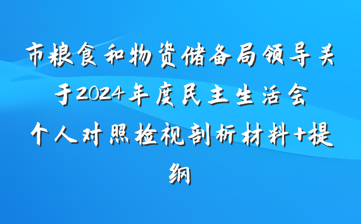市粮食和物资储备局领导关于2024年度民主生活会个人对照检视剖析材料 提纲