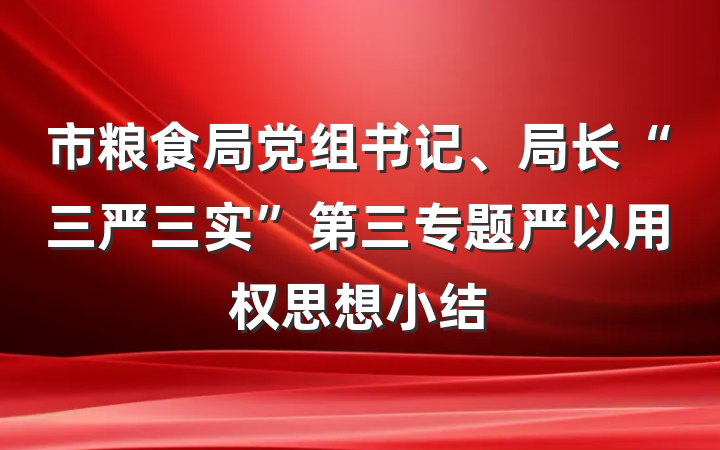市粮食局党组书记、局长“三严三实”第三专题严以用权思想小结