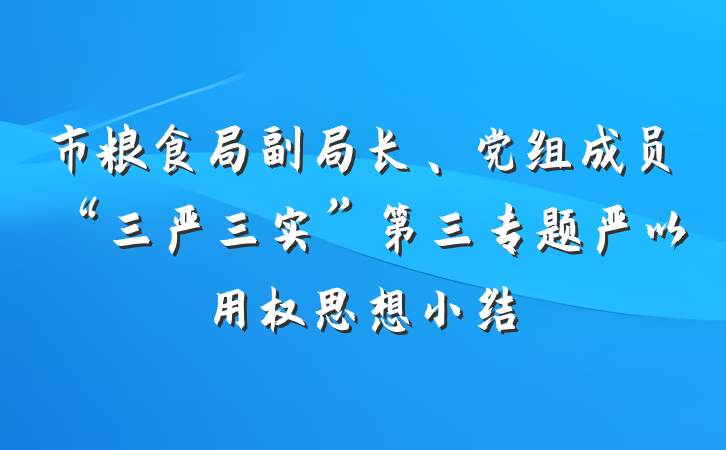 市粮食局副局长、党组成员“三严三实”第三专题严以用权思想小结