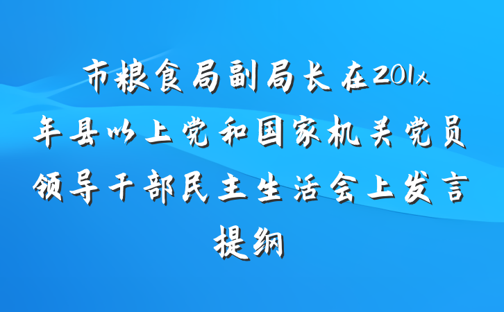 市粮食局副局长在201x年县以上党和国家机关党员领导干部民主生活会上发言提纲