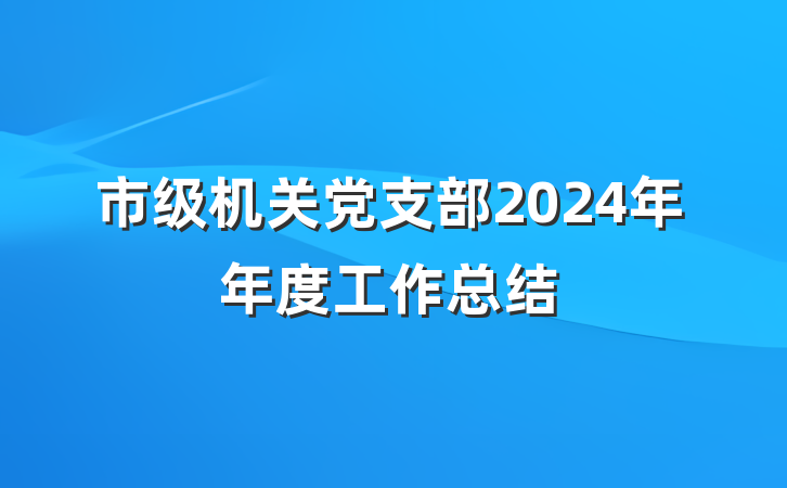 市级机关党支部2024年年度工作总结