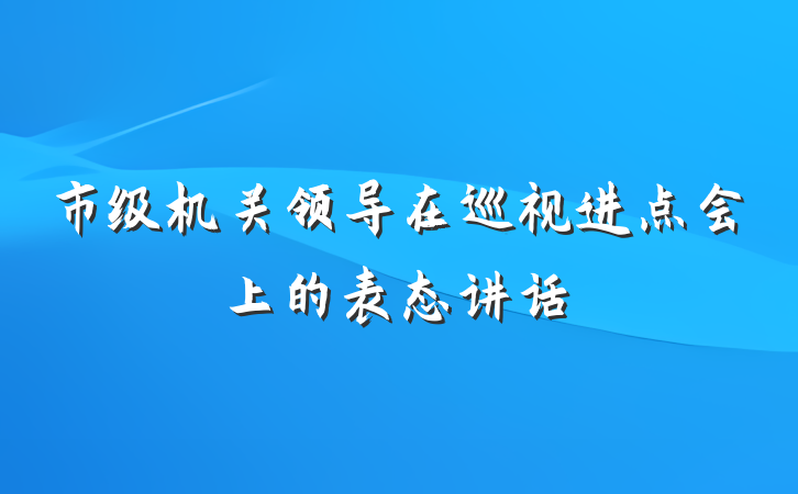市级机关领导在巡视进点会上的表态讲话
