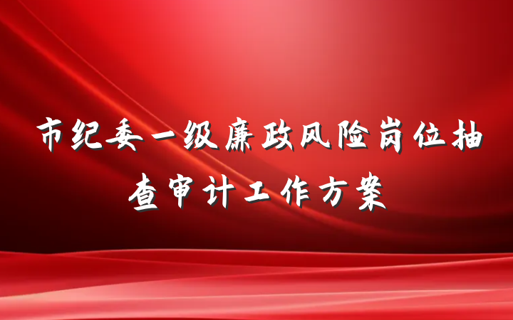 市纪委一级廉政风险岗位抽查审计工作方案
