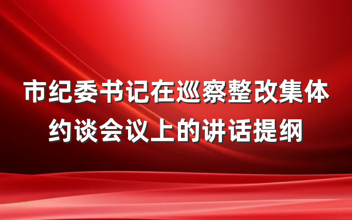 市纪委书记在巡察整改集体约谈会议上的讲话提纲