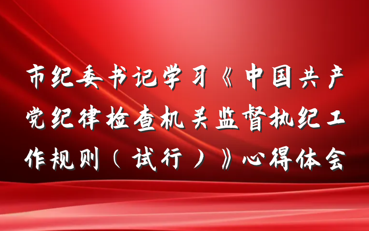 市纪委书记学习《中国共产党纪律检查机关监督执纪工作规则（试行）》心得体会