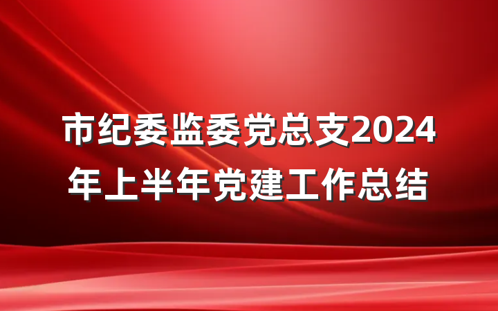 市纪委监委党总支2024年上半年党建工作总结