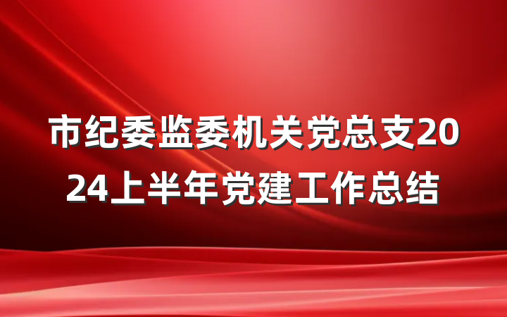 市纪委监委机关党总支2024上半年党建工作总结