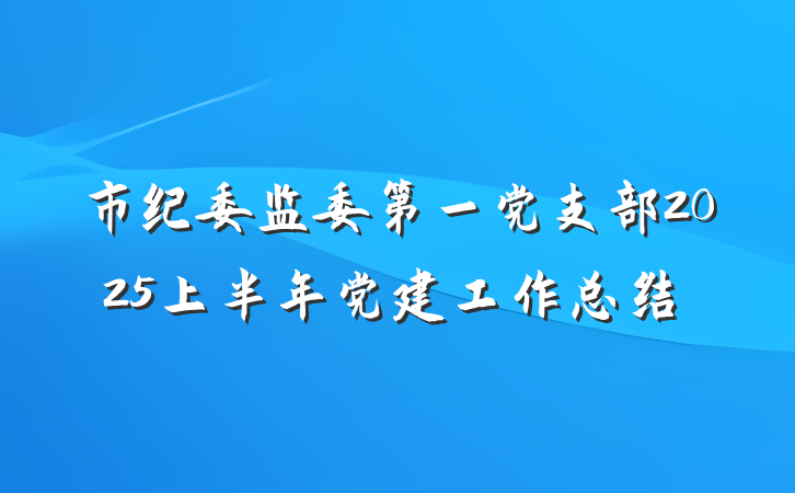 市纪委监委第一党支部2025上半年党建工作总结