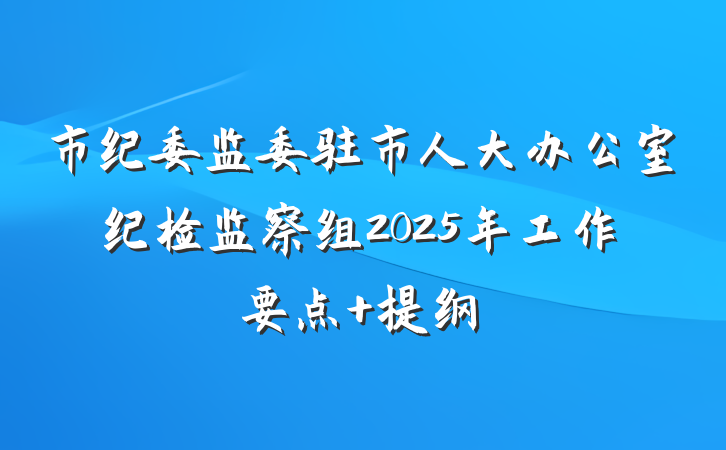 市纪委监委驻市人大办公室纪检监察组2025年工作要点 提纲