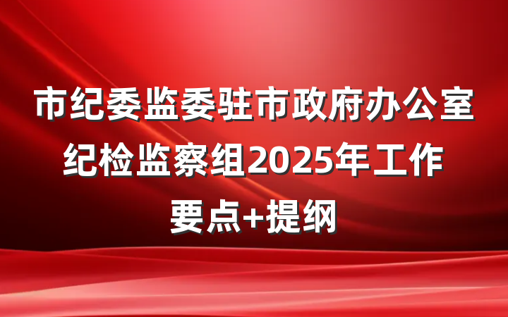 市纪委监委驻市政府办公室纪检监察组2025年工作要点 提纲