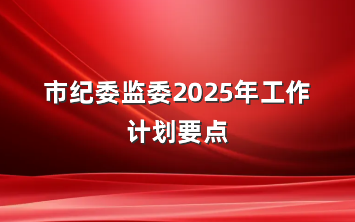 市纪委监委2025年工作计划要点