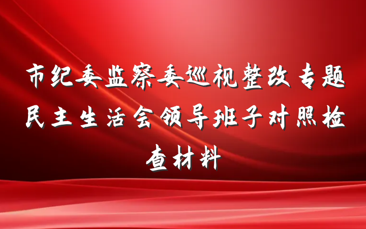 市纪委监察委巡视整改专题民主生活会领导班子对照检查材料