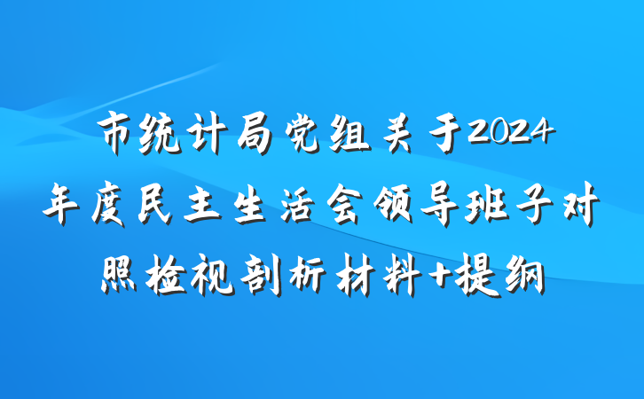 市统计局党组关于2024年度民主生活会领导班子对照检视剖析材料 提纲
