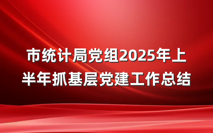 市统计局党组2025年上半年抓基层党建工作总结