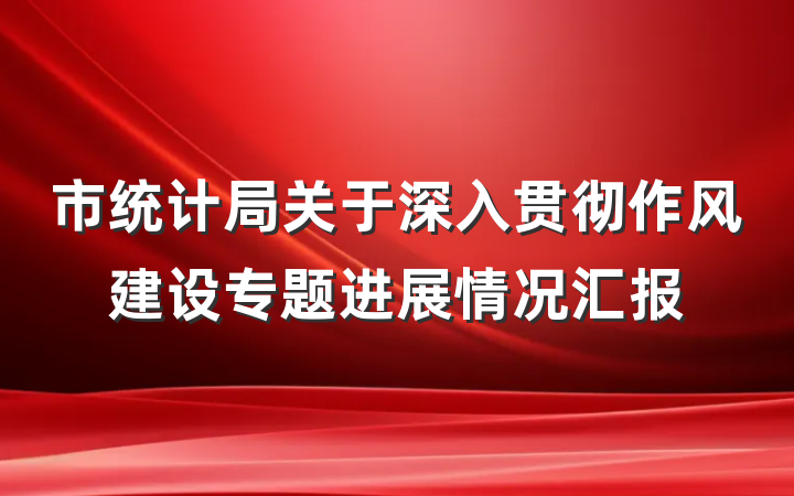 市统计局关于深入贯彻作风建设专题进展情况汇报