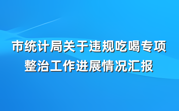 市统计局关于违规吃喝专项整治工作进展情况汇报