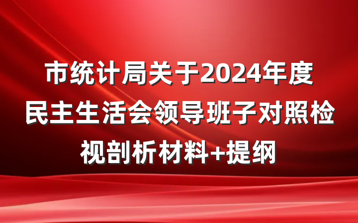 市统计局关于2024年度民主生活会领导班子对照检视剖析材料 提纲