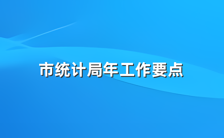 市统计局年工作要点