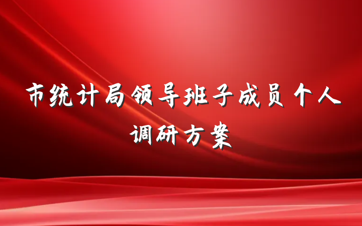 市统计局领导班子成员个人调研方案