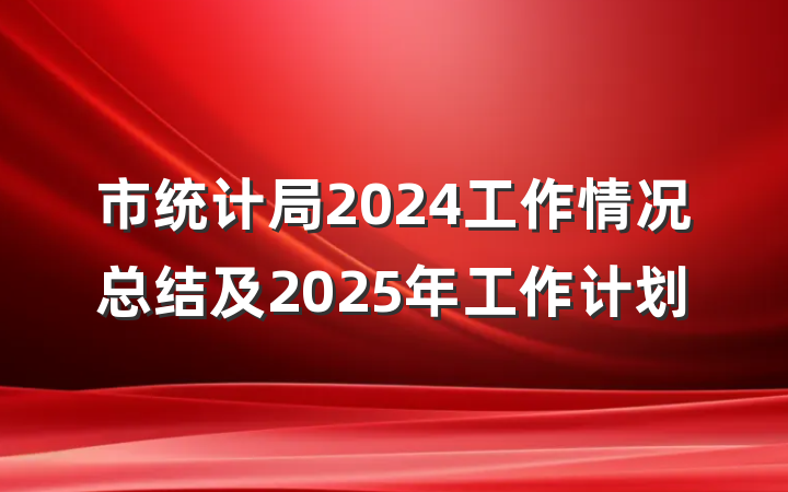 市统计局2024工作情况总结及2025年工作计划