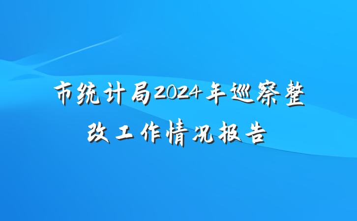 市统计局2024年巡察整改工作情况报告