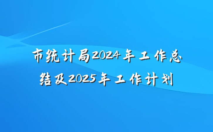 市统计局2024年工作总结及2025年工作计划