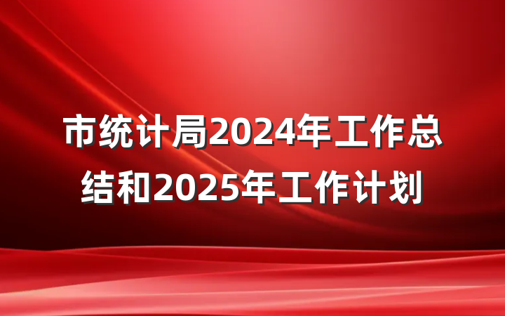 市统计局2024年工作总结和2025年工作计划