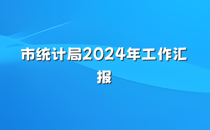 市统计局2024年工作汇报