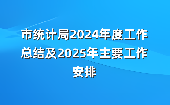 市统计局2024年度工作总结及2025年主要工作安排