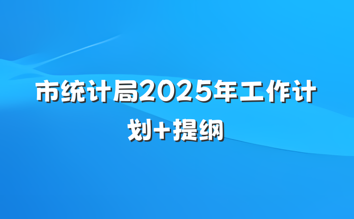 市统计局2025年工作计划 提纲