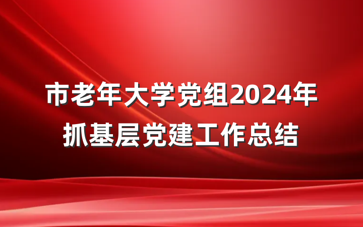 市老年大学党组2024年抓基层党建工作总结