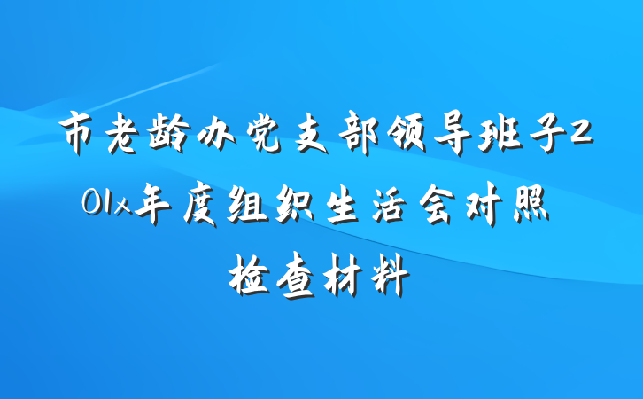 市老龄办党支部领导班子201x年度组织生活会对照检查材料