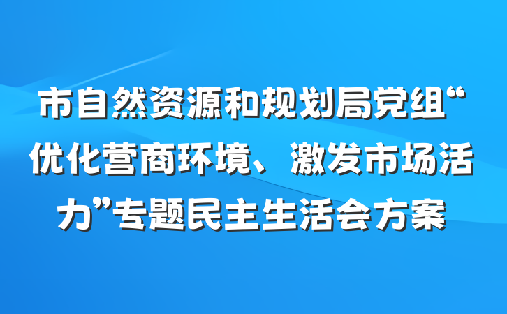 市自然资源和规划局党组“优化营商环境、激发市场活力”专题民主生活会方案