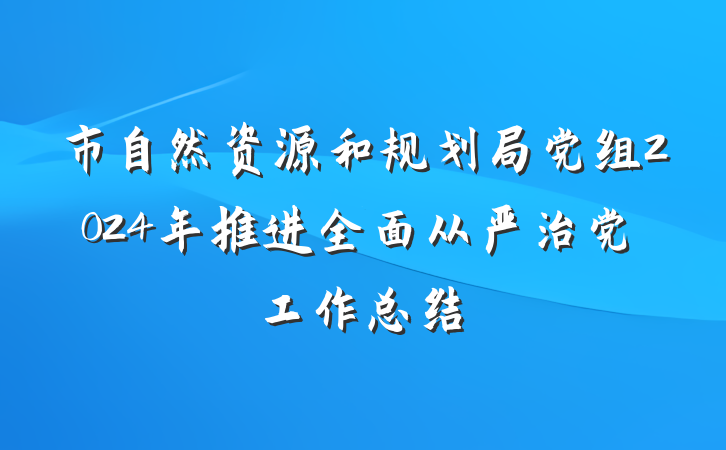 市自然资源和规划局党组2024年推进全面从严治党工作总结