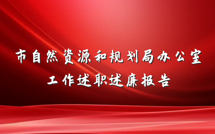 市自然资源和规划局办公室工作述职述廉报告