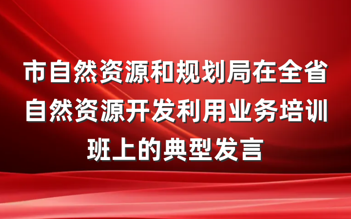 市自然资源和规划局在全省自然资源开发利用业务培训班上的典型发言