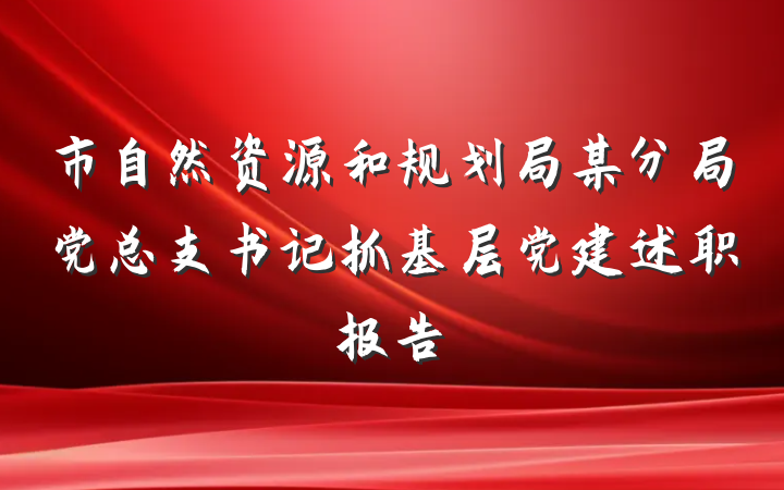 市自然资源和规划局某分局党总支书记抓基层党建述职报告