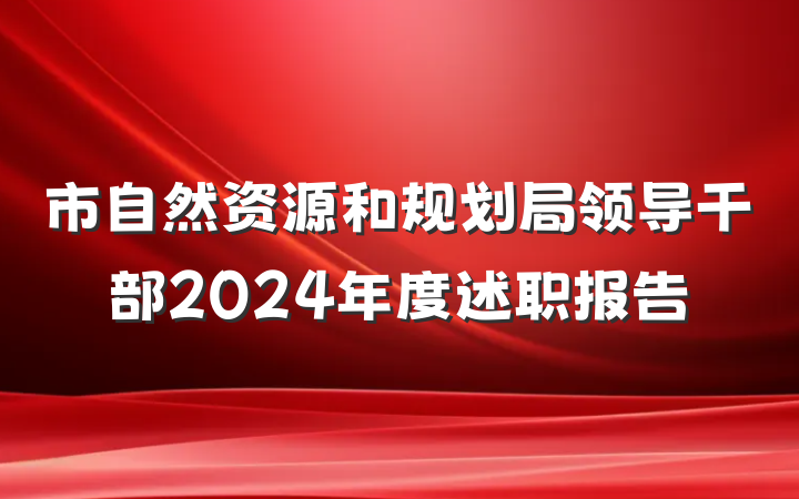 市自然资源和规划局领导干部2024年度述职报告