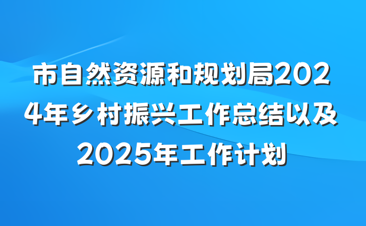 市自然资源和规划局2024年乡村振兴工作总结以及2025年工作计划