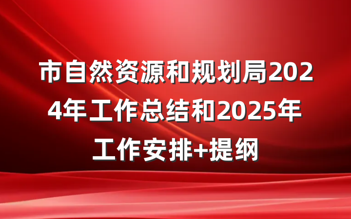 市自然资源和规划局2024年工作总结和2025年工作安排 提纲