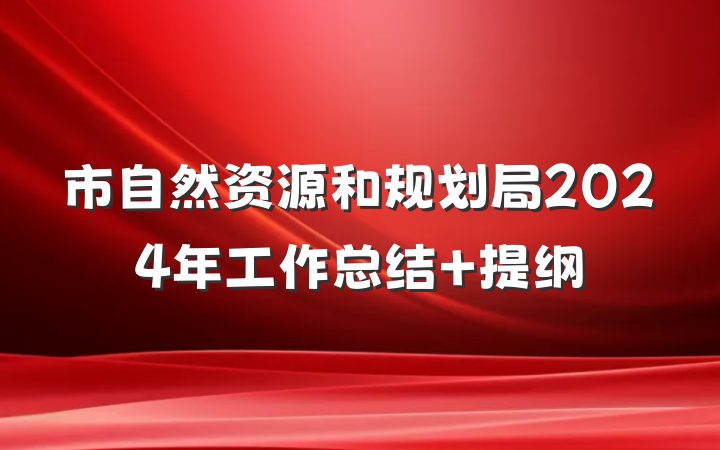 市自然资源和规划局2024年工作总结 提纲