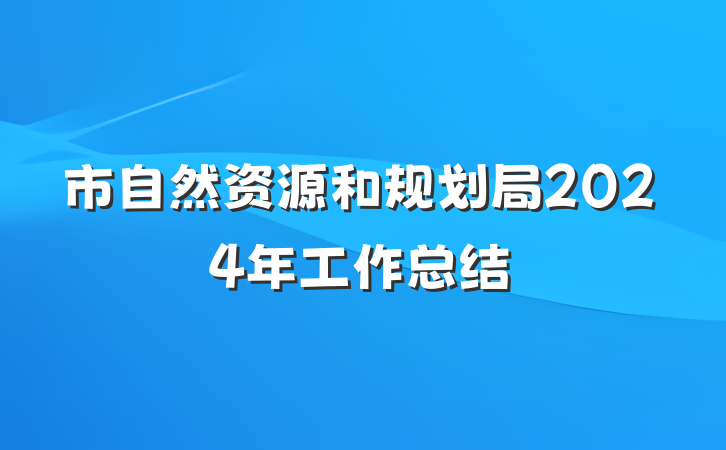 市自然资源和规划局2024年工作总结