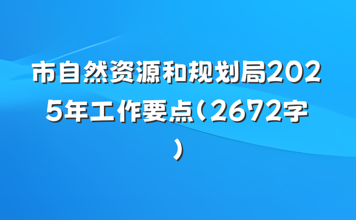市自然资源和规划局2025年工作要点（2672字）