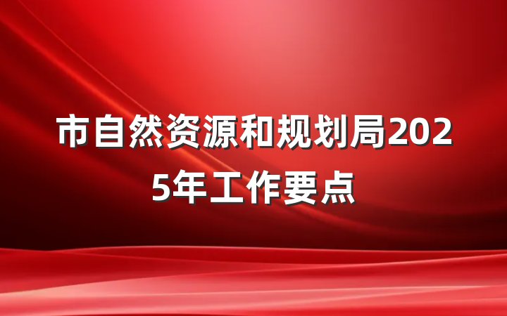 市自然资源和规划局2025年工作要点