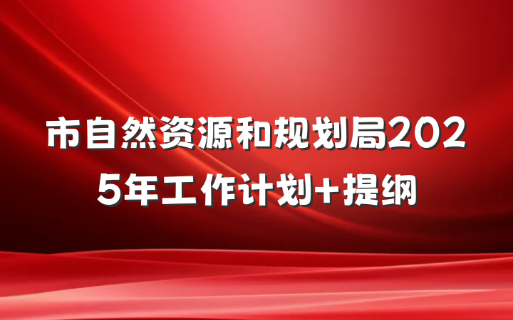 市自然资源和规划局2025年工作计划 提纲