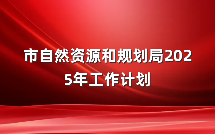 市自然资源和规划局2025年工作计划