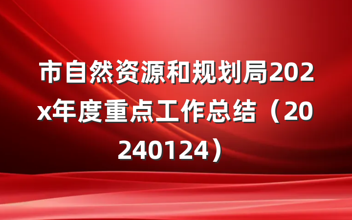 市自然资源和规划局202x年度重点工作总结（20240124）