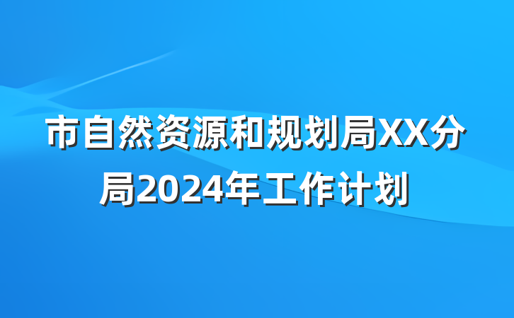 市自然资源和规划局XX分局2024年工作计划