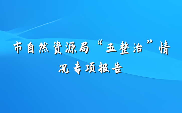 市自然资源局“五整治”情况专项报告