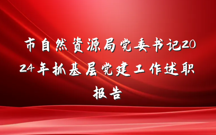 市自然资源局党委书记2024年抓基层党建工作述职报告